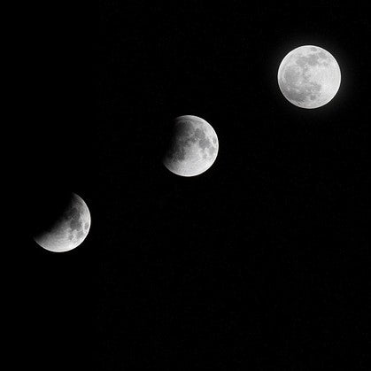 Planting by the Lunar Cycle