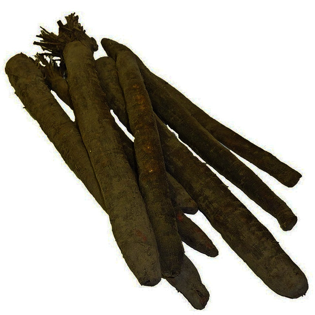 harvested black salsify roots on a white background