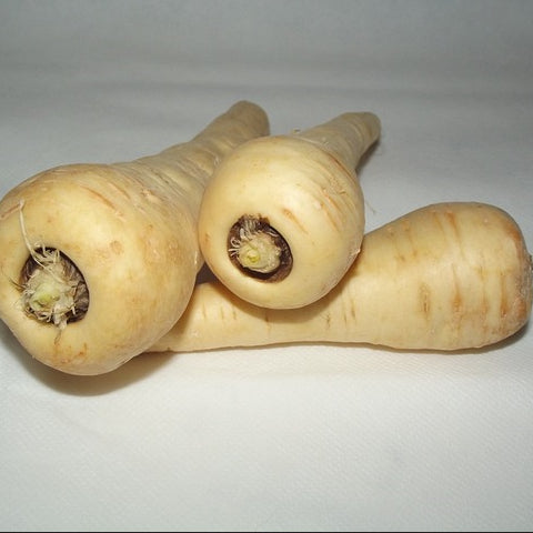 A group of three guernsey parsnips