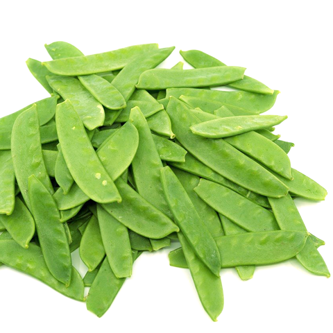 Harvested Mangetout Oregon peas on white background