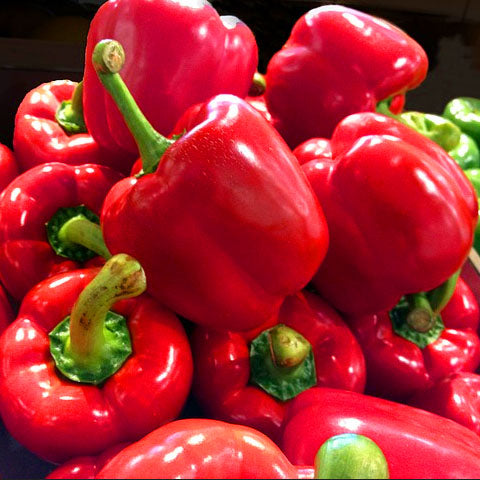 sweet red pepper