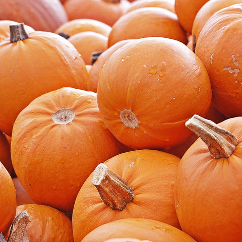A pile of freshly harvested pumpkins showing some cut stems