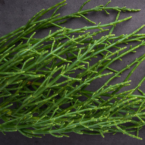 A close-up image of fresh Samphire, showcasing its green, slender stems and small leaves.