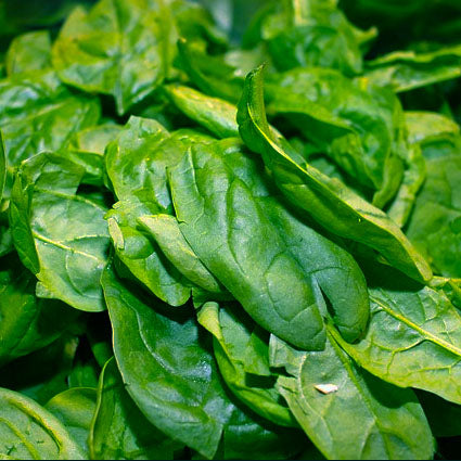 A close-up image of fresh green spinach leaves.