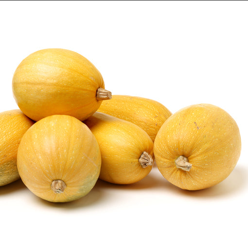 A group of yellow spaghetti squash fruits without any visible seeds or cuts, arranged on a plain background.