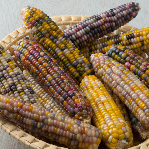 A basket filled with multicolored, translucent beads of sweetcorn, ranging from white and yellow to deep purple and blue.