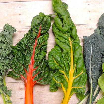 Swiss chard leaves with multi-coloured stems on a wooden table