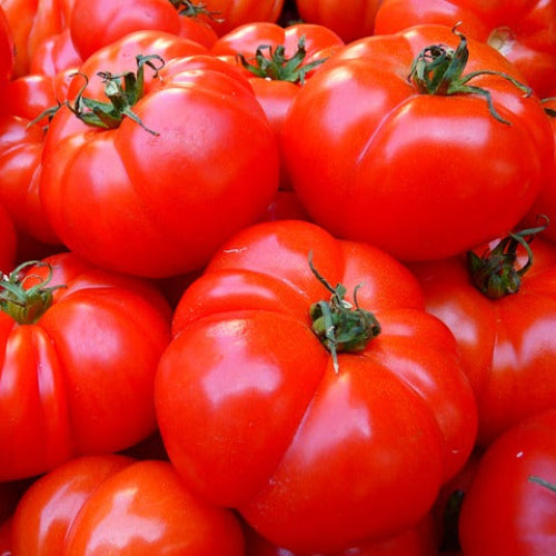 A group of Brandywine tomatoes complete with green bits