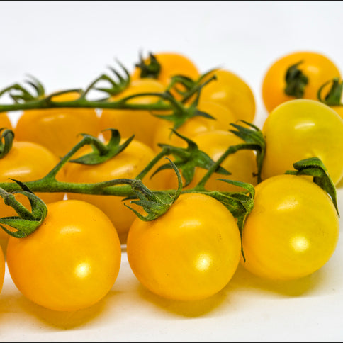 A cluster of golden yellow cherry tomatoes still attached to their green stem.