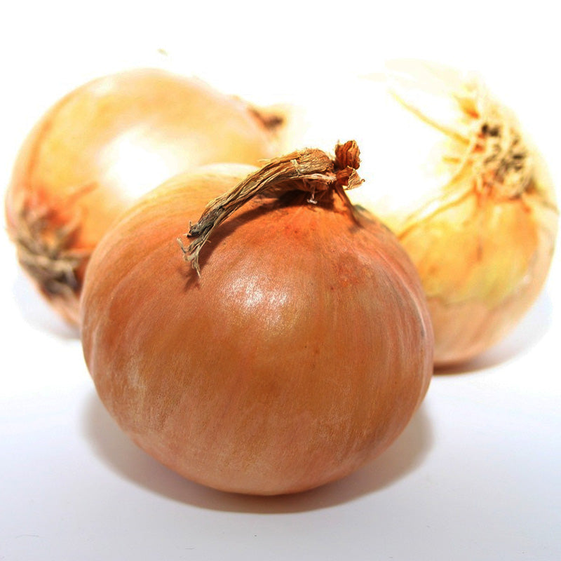 A group of three yellow-skinned Senshu onions on a white surface