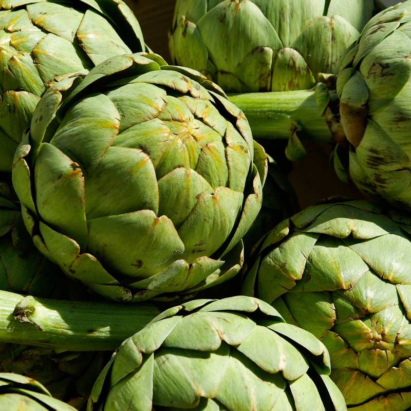 several harvested artichoke heads in basket