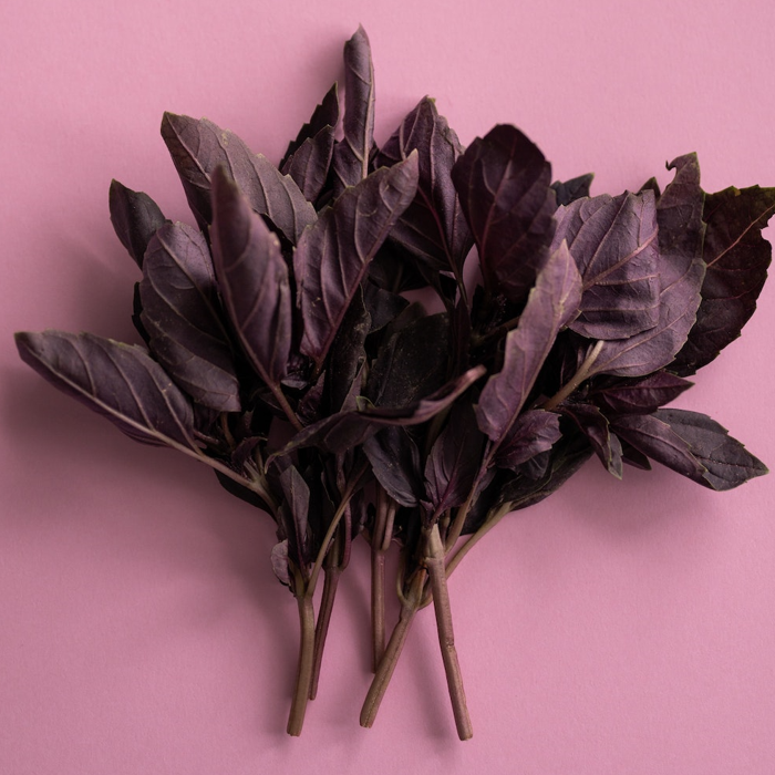 bunch of red basil leaves