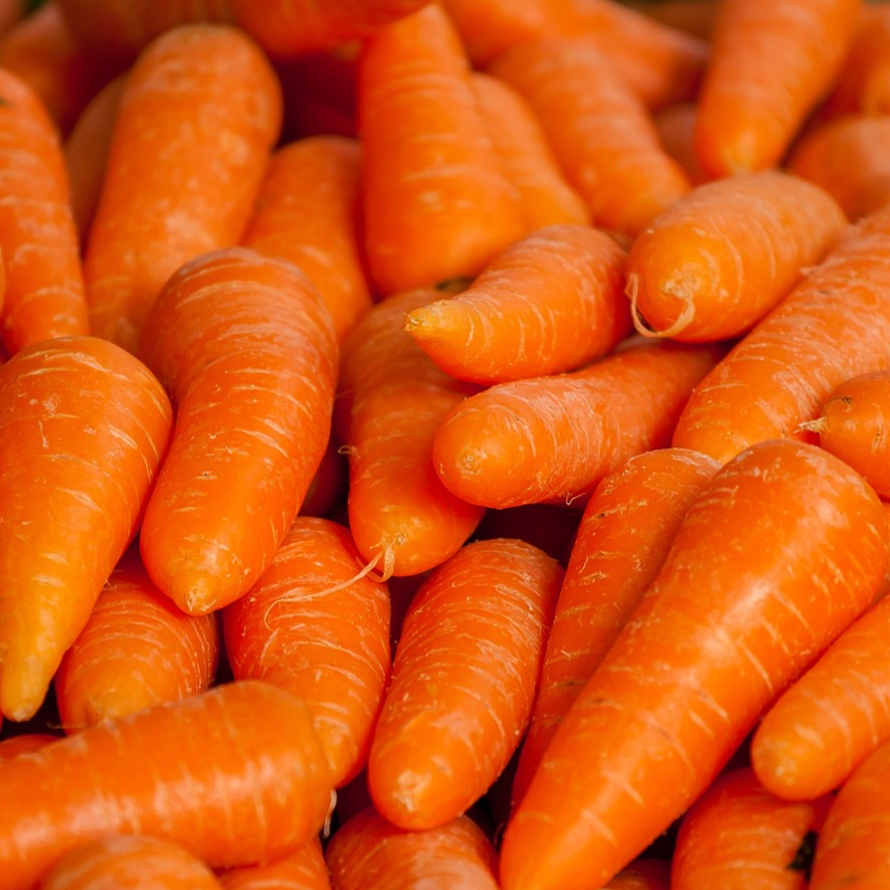 several autumn king carrots