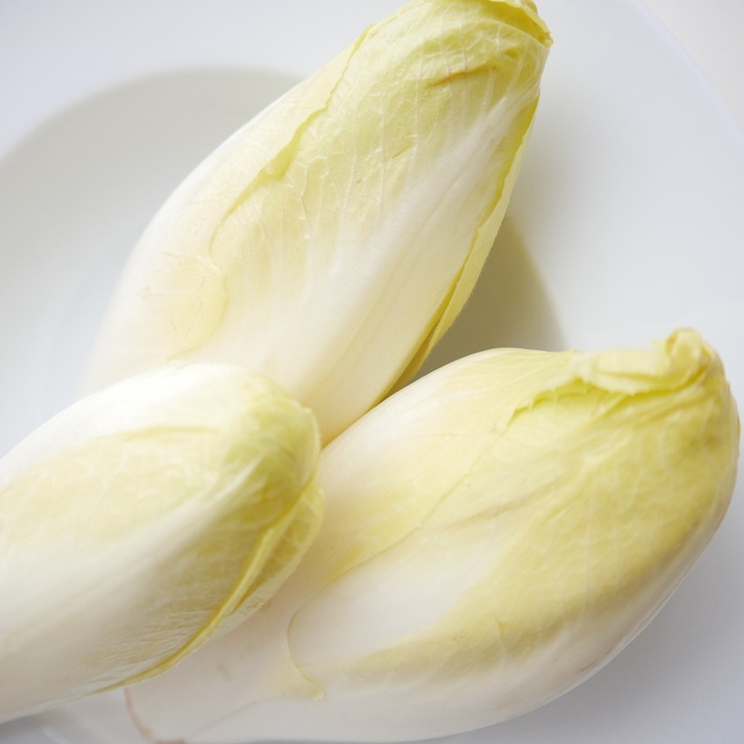 Two stalks of Chicory Di Bruxelles with large green leaves, placed on a white plate.