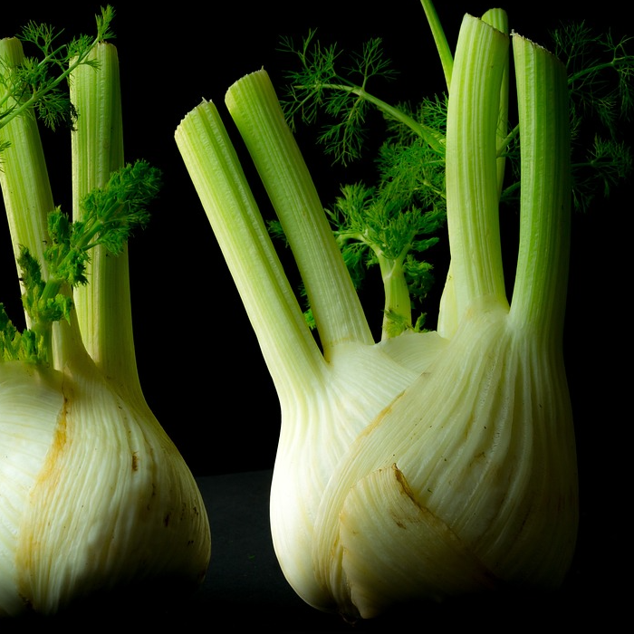 Two white and green stem fennel bulbs on a black background