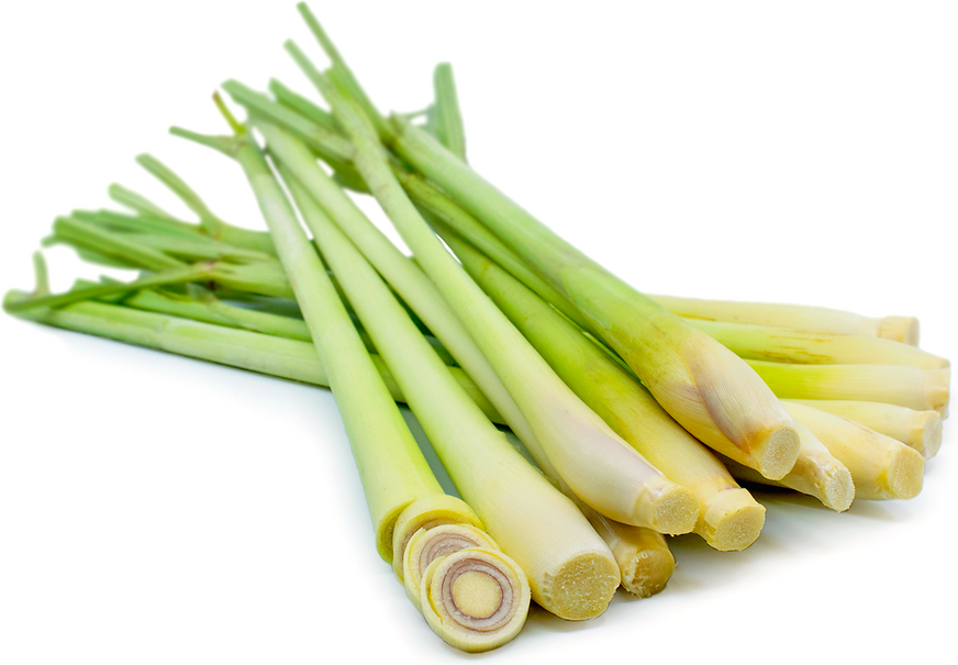 A bunch of fresh lemon grass with green stems and yellow-white knobs at the base.