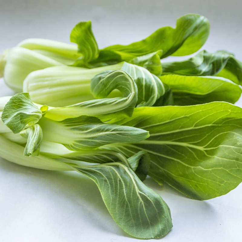 A close-up image of Pak Choi plants with green top leaves and white stems on a white surface.