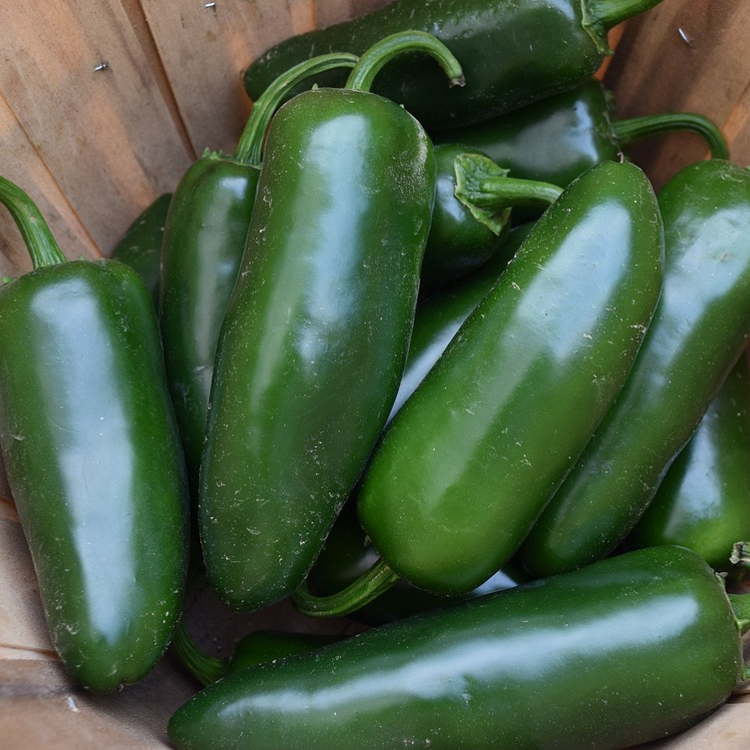 green jalapeno peppers in bowl