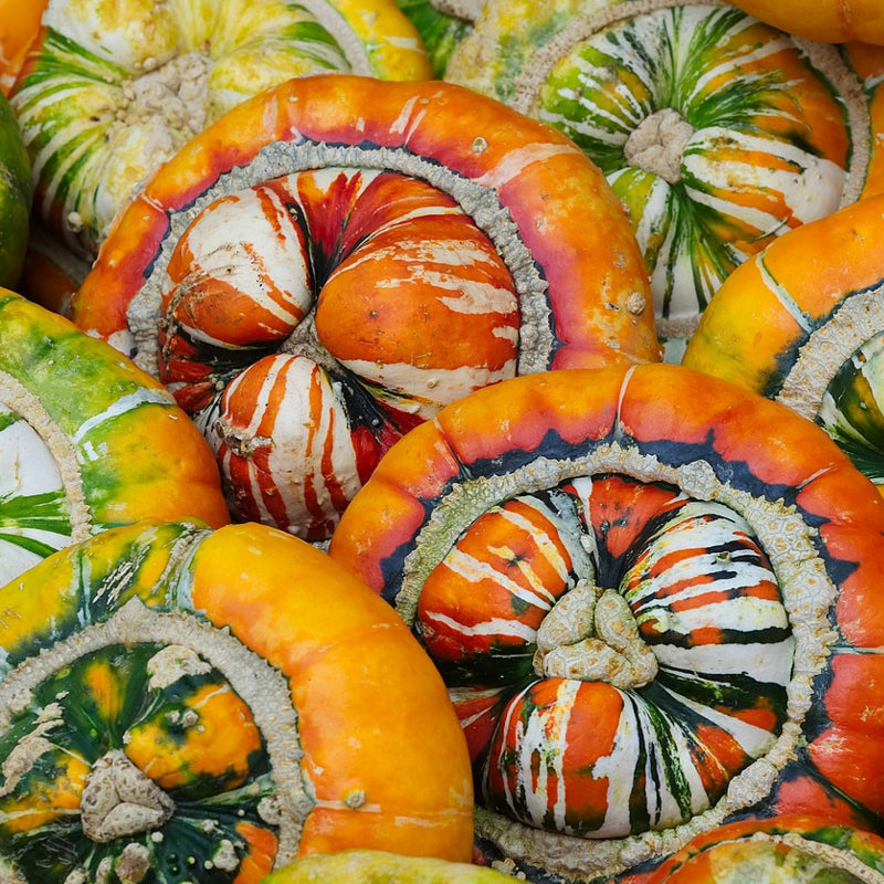 A collection of winter squash with multicolored patterns resembling turban designs.