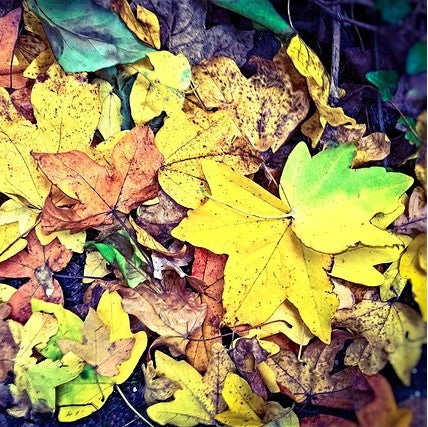 The Benefits of Not Being Tidy