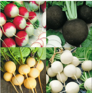 Catch Crops - What are they? How to get the best out of them!