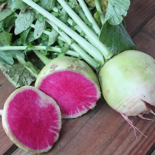 Succession Sowing of Vegetables: A Guide for the Amateur Grower