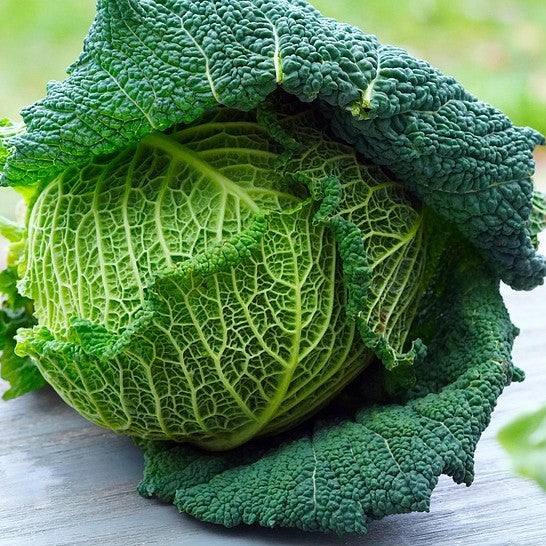 Close-up of a savoy cabbage on a wooden surface with a blurred natural background