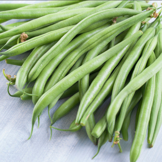 Climbing French Bean Cobra