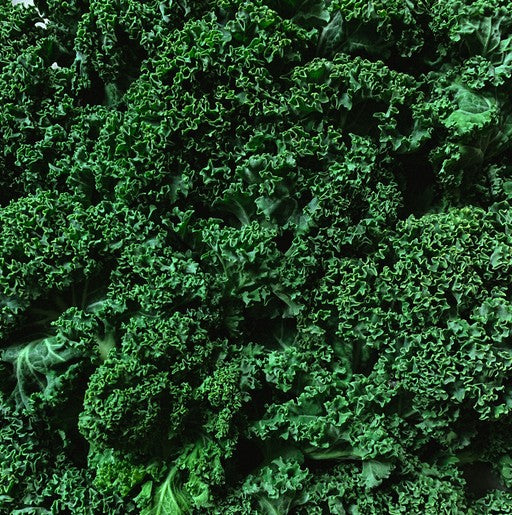 Close-up of green leafy kale