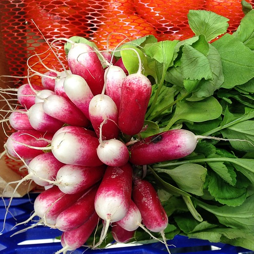 A bunch of French Breakfast radishes with green leaves and red bulbs with white tips.