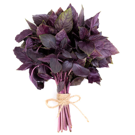 a bunch of Red Basil leaves on a white background