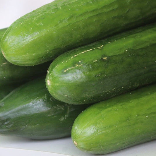 close-up of spring cucumbers