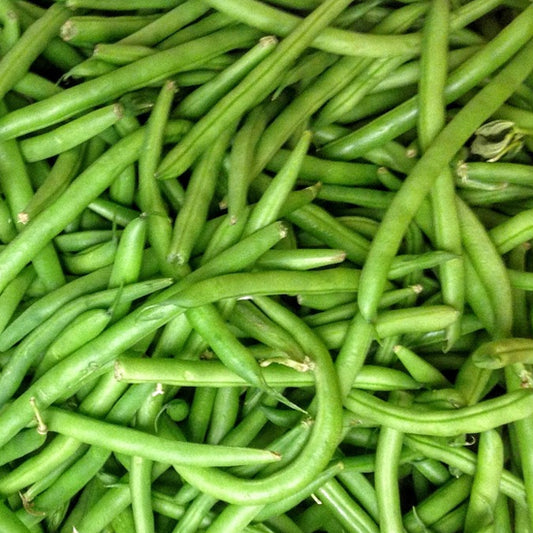 A freshly harvested amount of dwarf French beans