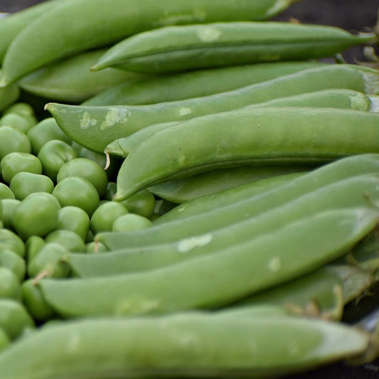 A pile of fresh green peas and pea pods.