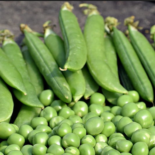 Green peas, both whole and podded, displayed on a dark background.