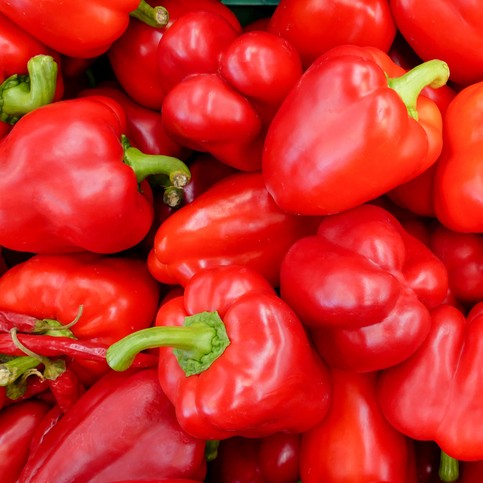 Close-up of red bell peppers with green stems.