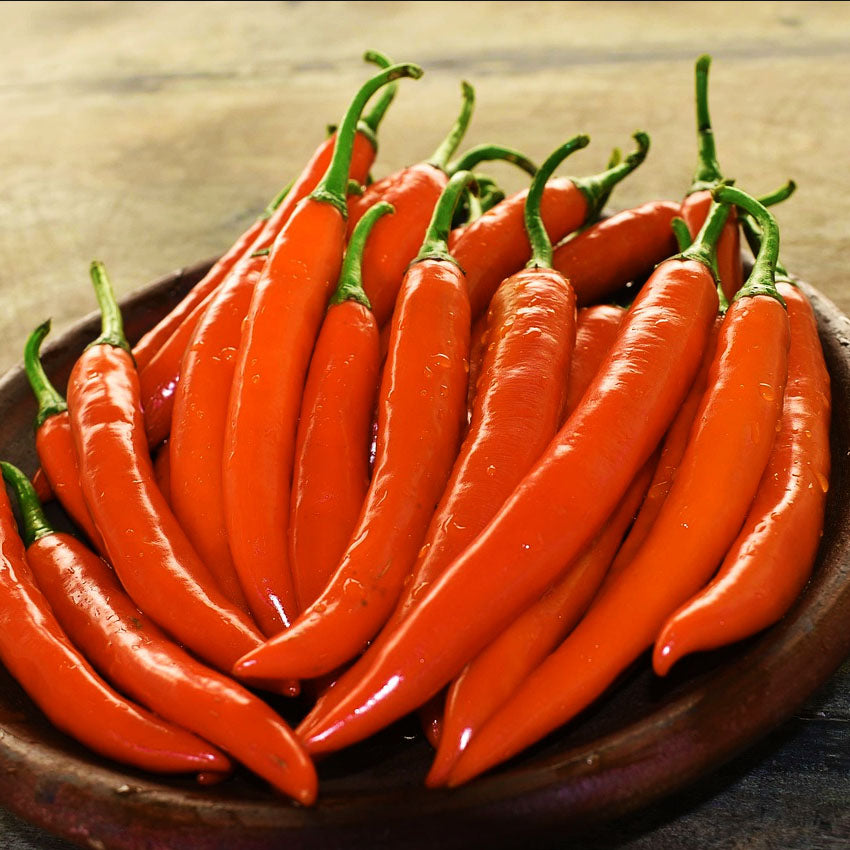 orange cayenne chilli peppers