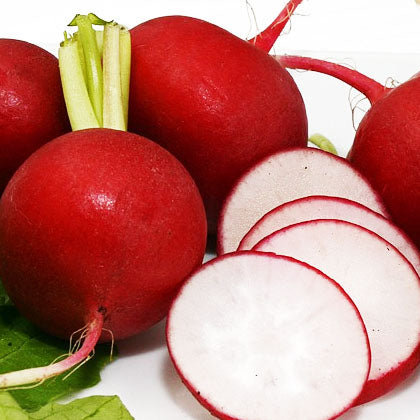 large red radish crimson giant