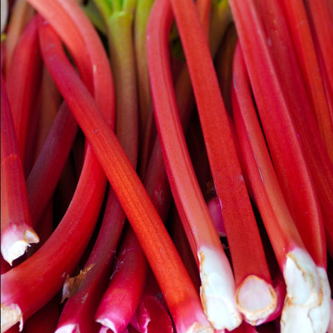 A harvest of red Rhubarb Glaskins Perpetual Stalks