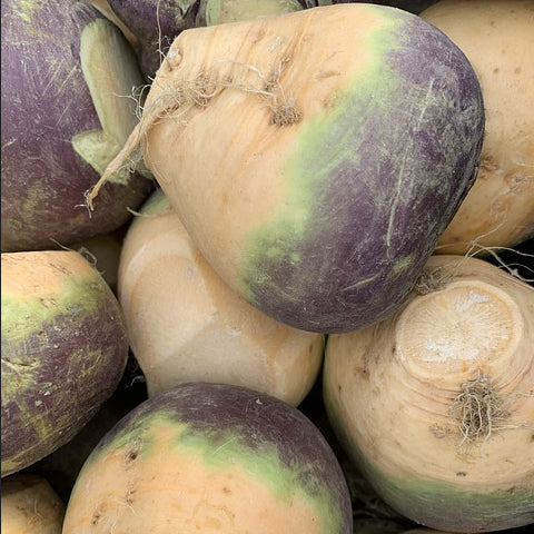 A pile of fresh swede roots with purple tops, ready for culinary use.