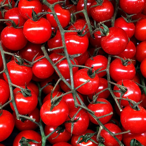 italian cerise cherry tomatoes