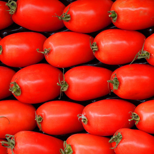 san marzano tomatoes