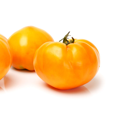 white beauty tomato
