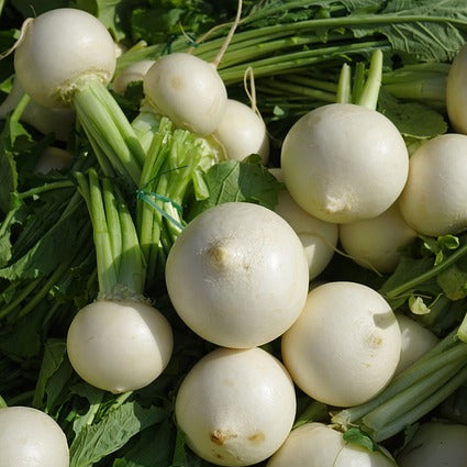 white turnips