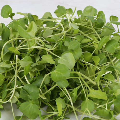 bunch of land cress on tabletop
