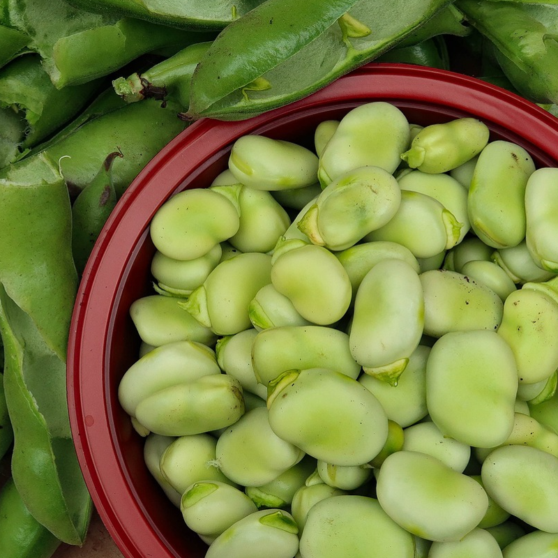 broad beans in a dish