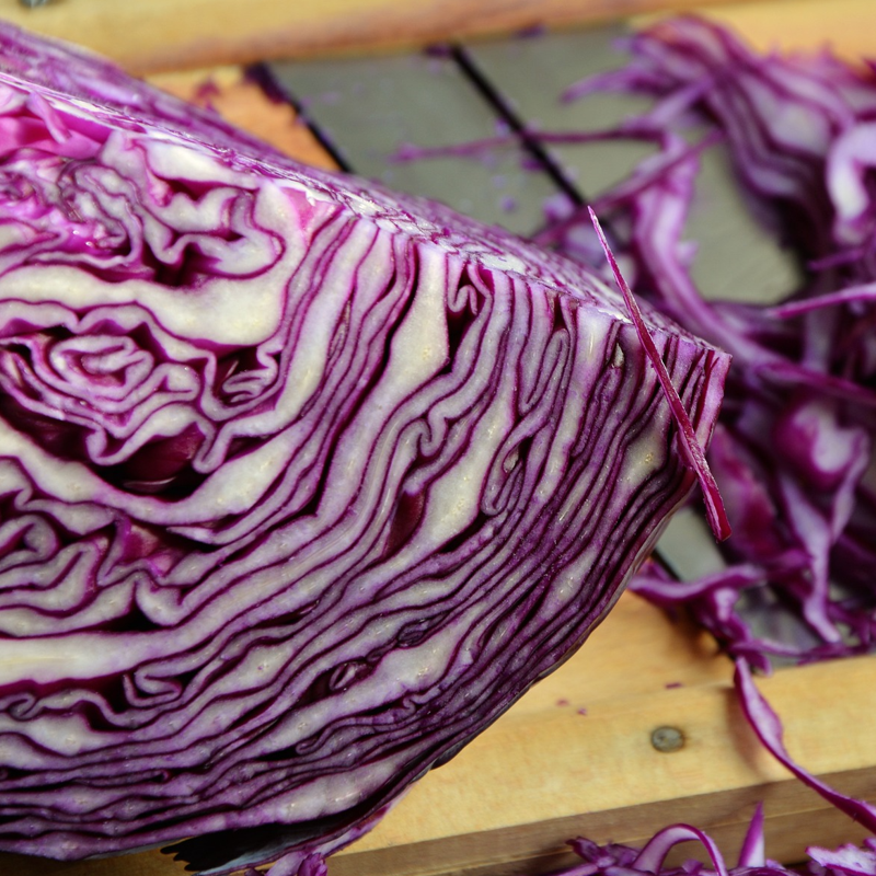 red cabbage cut and shredded