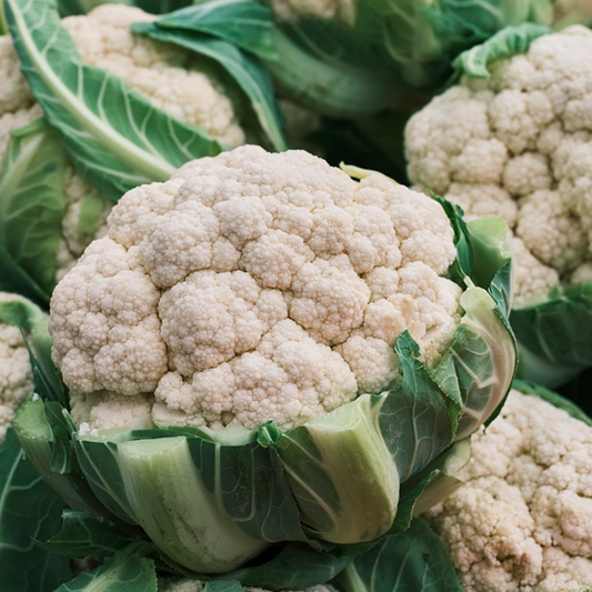 Cauliflower Snowcrown - Organic