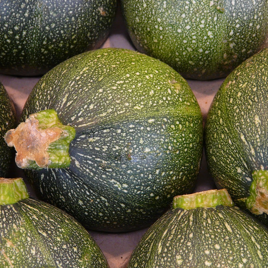 Close-up of several harvested Ronde de Nice round courgettes