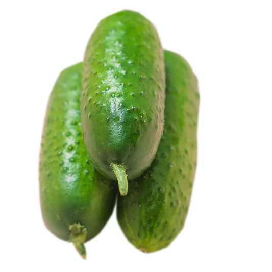 Cucumber Gherkin National